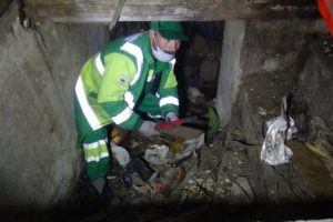 Bursa'da &ccedil;&ouml;p evi temizlemeye gittiler talihsiz muhabbet kuşunu beslediler