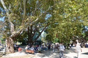 Bursa Gemlik'te mahalle olan k&ouml;ylere meydan projesi