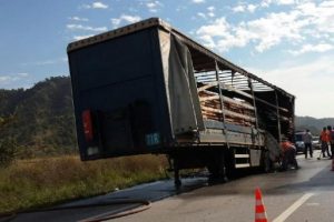 Seyir halindeki TIR'ın dorsesi yandı