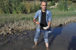 &Ccedil;aydaki toplu balık &ouml;l&uuml;mleri korkuttu