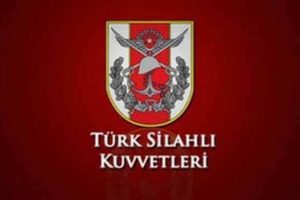 Genelkurmay: ''791 kişi yakalandı''