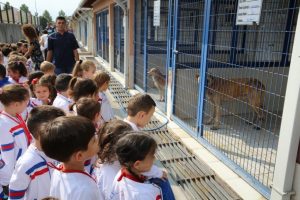 Bursa Nil&uuml;fer'de minikler can dostlarıyla buluştu