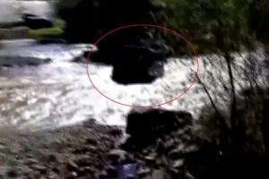 Cip nehri ge&ccedil;emedi, s&uuml;r&uuml;c&uuml; &ouml;ld&uuml;