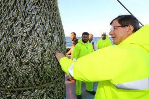 Başbakan Davutoğlu'nun &ccedil;ektiği ağdan 80 kasa istavrit &ccedil;ıktı