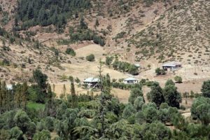 Adana'da başsız ceset bulundu