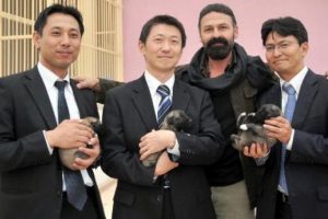 Japon polislerin kangal k&ouml;peği sevgisi