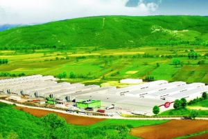 Burdan Yumurta d&uuml;nyanın en b&uuml;y&uuml;k 250 firması arasında