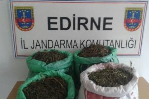 Kullanılmayan evde esrar ele ge&ccedil;irildi