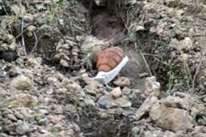 Tam 96 adet el bombası yakalandı