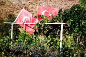 Bağlar bozuldu, pekmezler kaynıyor