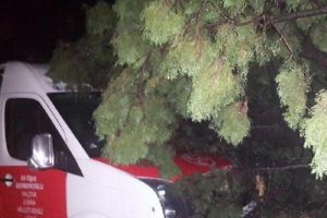 MHP'li Milletvekili adaylarının bindiği minib&uuml;s&uuml;n &uuml;zerine ağa&ccedil; devrildi