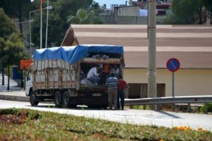 Umut yolcusu sandılar, tarım iş&ccedil;isi &ccedil;ıktı