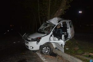 Hafif ticari ara&ccedil; ağaca &ccedil;arptı: 2 &ouml;l&uuml;
