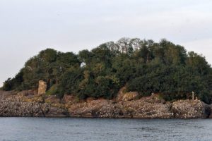 Tarihi mezar ve kalıntılar bulundu