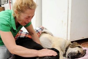 'Doktor komşu' k&ouml;pekleri vurdu