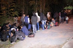 TIR kasasında Avrupa'ya gitmek isterken yakalandılar
