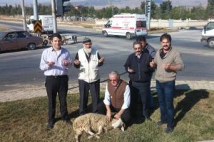 Kazaları &ouml;nlemek i&ccedil;in kavşakta kurban kestiler