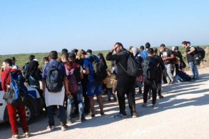 Aydın'da 243 Suriyeli yakalandı