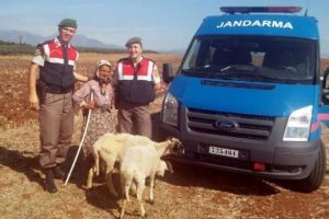 Jandarma yaşlı kadının &ccedil;alınan koyunlarını buldu