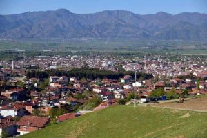 Tokat'ta yeni konutlara ağa&ccedil; dikme zorunluluğu