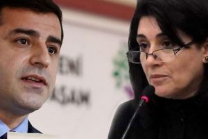 Zana'nın &ccedil;ağrısına Demirtaş'tan tepki