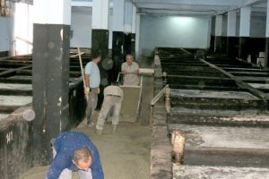Bursa'da zeytin depolarında hummalı &ccedil;alışma
