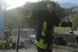İtfaiyeden &ccedil;ifte yılan operasyonu