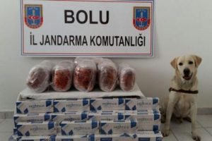 Bolu'da uyuşturucu operasyonu