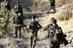 Doski vadisi PKK'ya mezar oldu