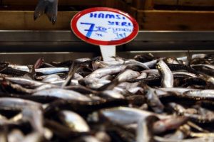 Bursa'da balık tezgahları ucuz hamsi ile şenlendi