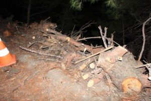 İzmir'de kestiği ağacın altında kalarak &ouml;ld&uuml;