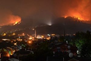 "Her Fidan Bir Can, Bursa'ya Yeni Orman"