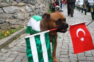Bursasporlu fanatik taraftarın totemi g&ouml;renleri şaşkına &ccedil;evirdi