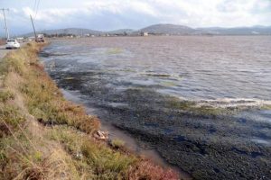 Tuzla Sulak Alanı'na nefes aldıracak d&uuml;zenleme