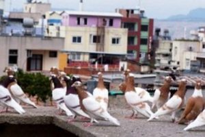Bursa'da hırsızlar bu gece uyumadı