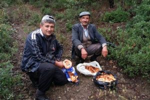Bursa'da &ccedil;am mantarına b&uuml;y&uuml;k ilgi