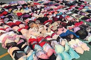 Oltalı sutyen avcısı yakalandı