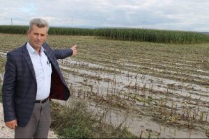 Bursa'da 4 bin 500 d&ouml;n&uuml;m mahsul sular altında kaldı
