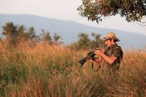 Bursa'nın longozu en g&uuml;zel zamanını yaşıyor
