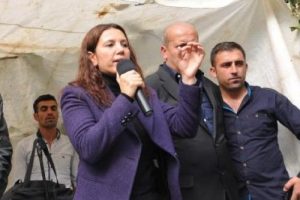 HDP'li Irmak: K&uuml;rtler senin beyaz toroslarından korkmuyor