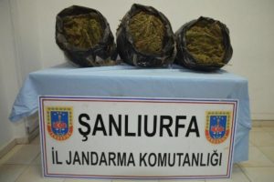 Şanlıurfa'da uyuşturucu operasyonu