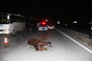At arabası zincirleme kazaya neden oldu
