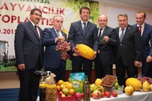 Bakan Zeybekci: 1 Kasım'da h&uuml;k&uuml;met değişmeyecek