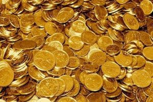 Spor Bakanlığı "Altınları" dağıttı