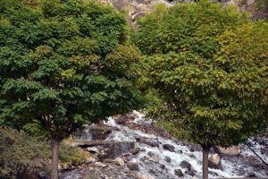 Kanisipi Şelalesi şaşkınlığa yol a&ccedil;tı