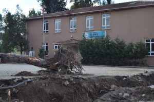 Bursa'da okul bah&ccedil;esindeki asırlık ağa&ccedil;lar kesiliyor!