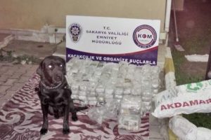 Sakarya'da 80 yaşındaki kadın 103 kilo eroinle yakalandı