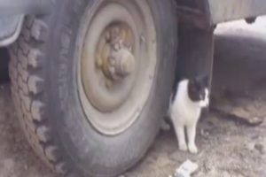 Bu kadar gerilim korku filmlerinde bile yok