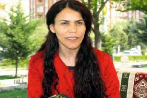 Siirt'te HDP 2, AK Parti 1 vekillik kazandı