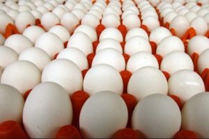 "T&uuml;rkiye yumurta ihracatında d&uuml;nya ikincisi"